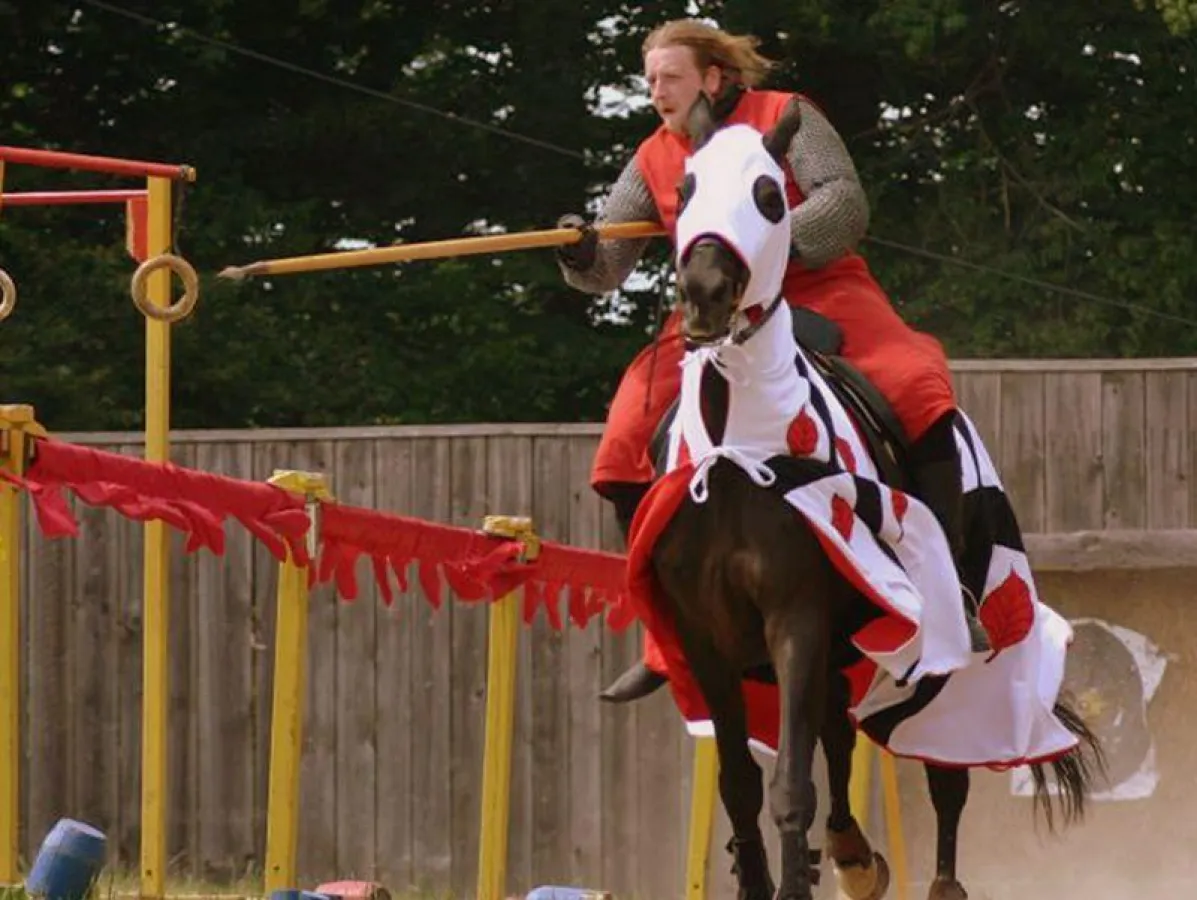 Ritter Norman in Action