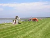 Bild: Mehr als 2000 Seehunde vor der Dorumer Nordseeküste