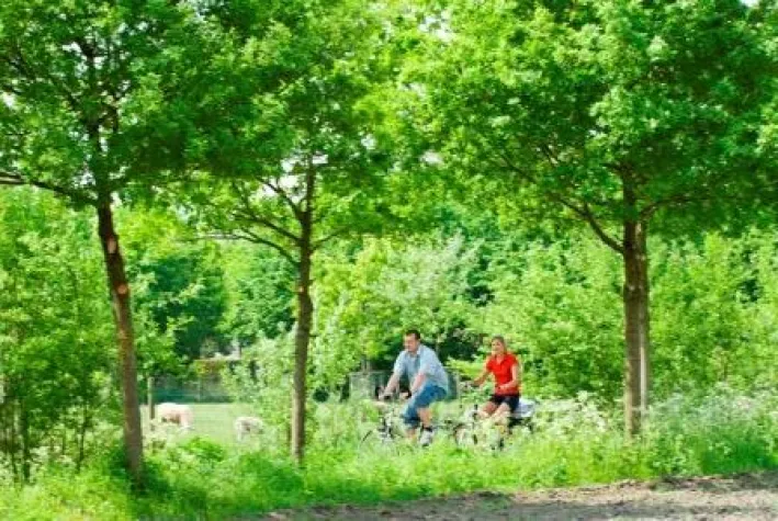 Auf die Räder fertig los Bild: Auf die Räder fertig los