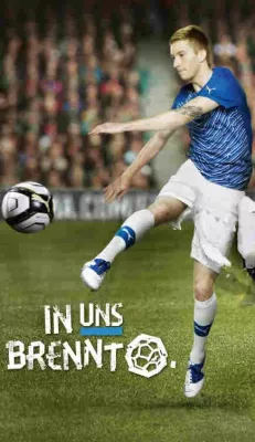 Bild: Puma Trikots zum Top-Preis im Online Sport Shop Vereinsexpress.de