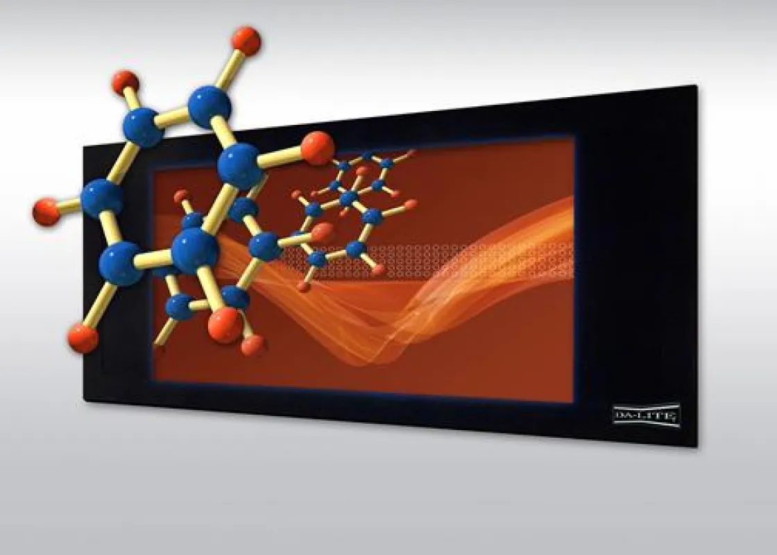 3D Virtual Black von Da-Lite