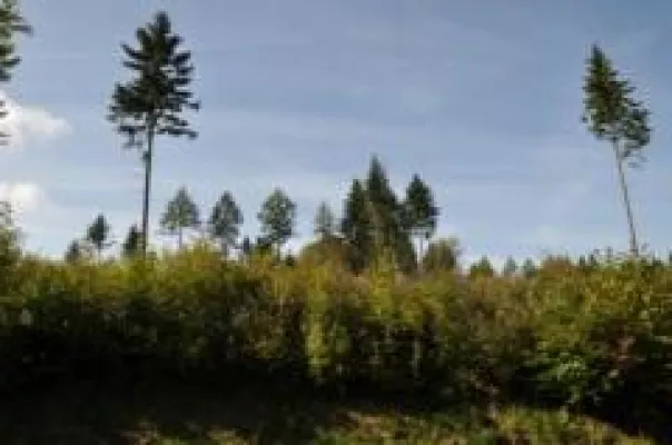 Bild: Vogelsberg, Wetterau, Lahn-Dill-Bergland: Wanderatlas Oberhessen