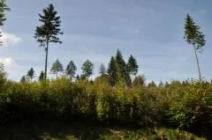 Vogelsberg, Wetterau, Lahn-Dill-Bergland: Wanderatlas Oberhessen Bild: Vogelsberg, Wetterau, Lahn-Dill-Bergland: Wanderatlas Oberhessen