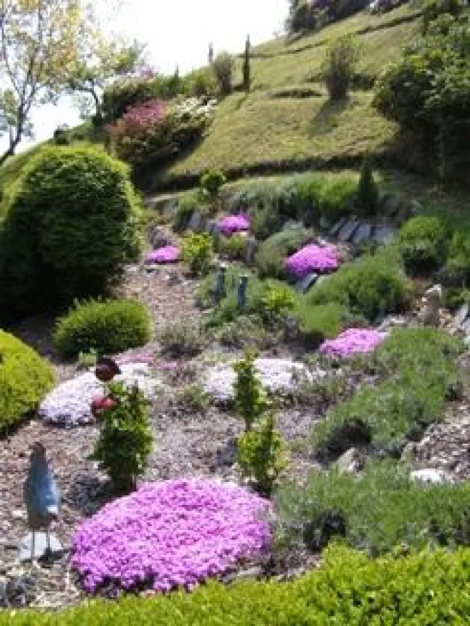 Copyright Elisabeth Gerster