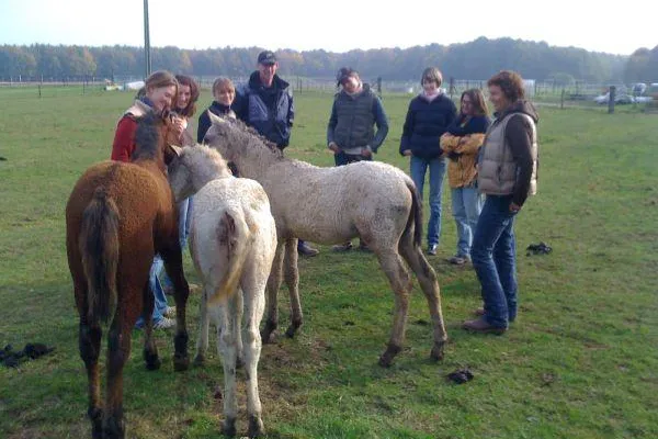 Bild: Auftakt zum ersten Jahrgang der Horsemen-United-International-Akademie