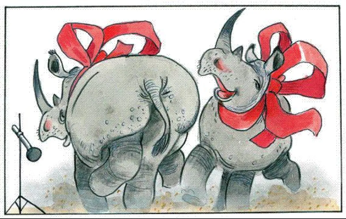 Nashorntanz - eine der vielen lustigen Zeichnungen aus dem Buch Lilo & Lotte