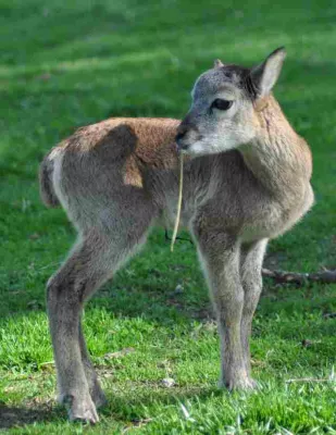 Bild: Spaß für Kids in den Pfingstferien