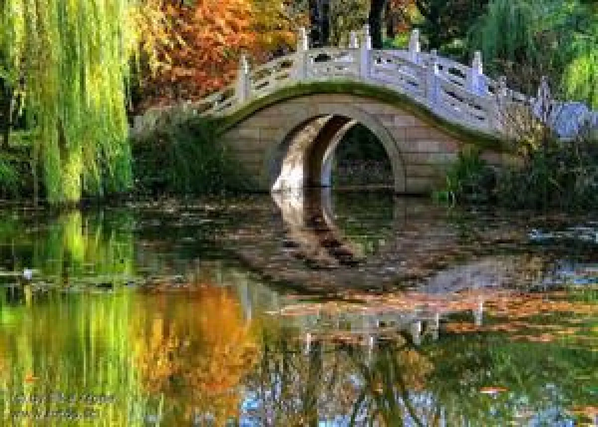 Wunderschöne Spaziergänge im Herbst