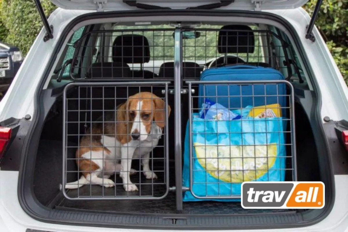Mit einem Gitterset von Travall wird der Hund auf Reisen gesichert.© Travall