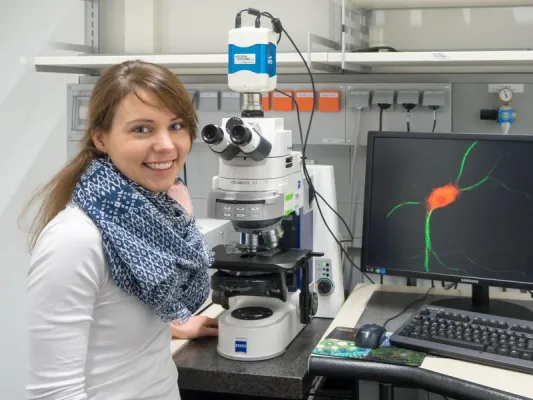 Bild: Was läuft schief beim Noonan-Syndrom? – Grundlagen der neuronalen Fehlfunktion entdeckt