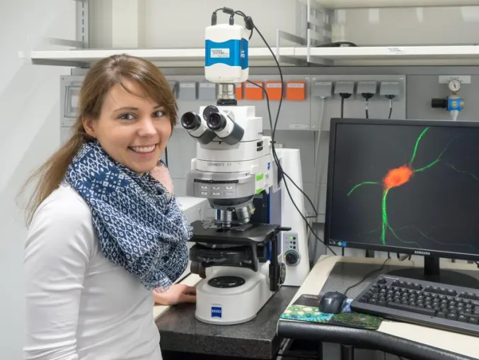 Bild: Was läuft schief beim Noonan-Syndrom? – Grundlagen der neuronalen Fehlfunktion entdeckt