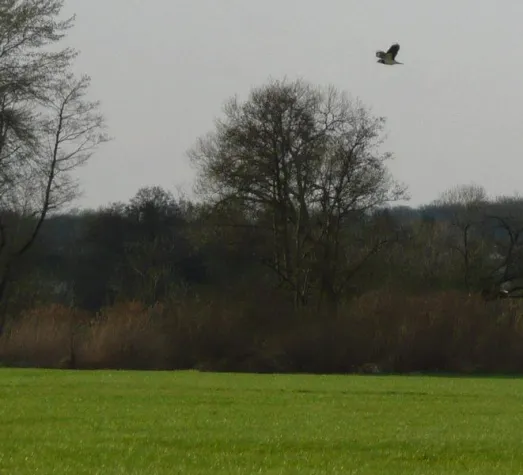 Bild: getenergy schützt Lebensräume in Deutschland