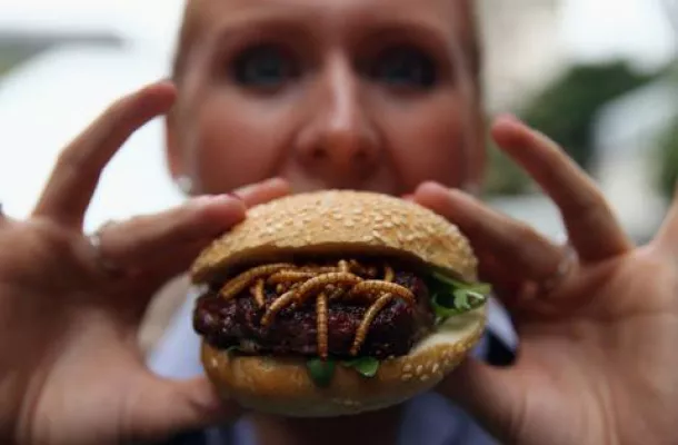 Bild: Das große Käfer-Knabbern: Rentokil eröffnet weltweit „Pestaurants“