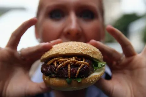 Das große Käfer-Knabbern: Rentokil eröffnet weltweit „Pestaurants“ Bild: Das große Käfer-Knabbern: Rentokil eröffnet weltweit „Pestaurants“