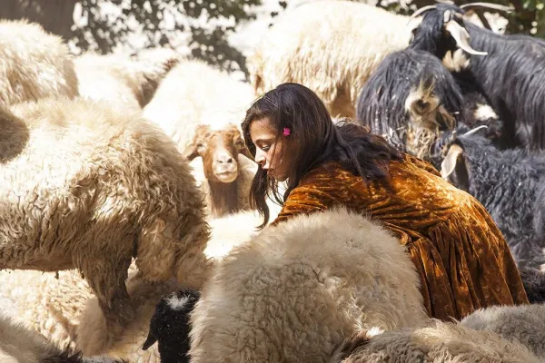 PRISKA SEISENBACHER NEUE FOTOGRAFIN BEI LOOKPHOTOS Bild: PRISKA SEISENBACHER NEUE FOTOGRAFIN BEI LOOKPHOTOS