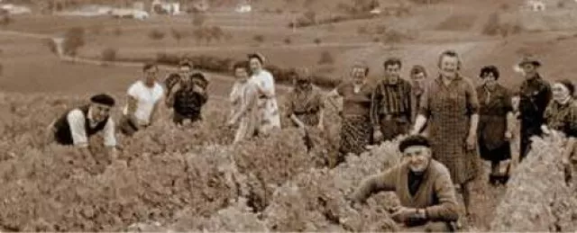 Bild: Weinversand BELVINI.DE präsentiert grandiose Henri Bourgeois Weine aus Frankreich und Neuseeland