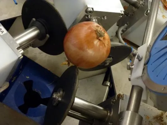 Bild: Düpmann Gemüseprodukte nimmt neue vollautomatische Zwiebelschälanlage in Betrieb