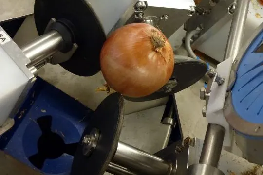 Düpmann Gemüseprodukte nimmt neue vollautomatische Zwiebelschälanlage in Betrieb Bild: Düpmann Gemüseprodukte nimmt neue vollautomatische Zwiebelschälanlage in Betrieb