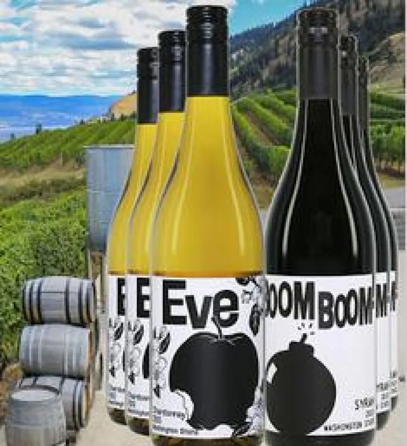 Entfalteter Chardonnay - Ruhender Syrah