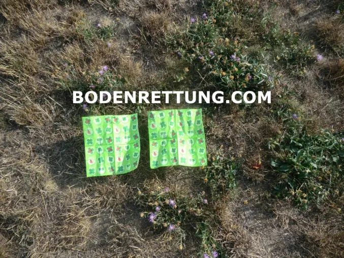 Bild: Bodenrettung und Bodenschutz - Dürre-tolerante Bodendecker, Klimawandelanpassung und Tiefenlockerung