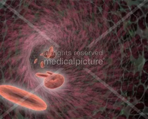 Bild: Als die Bilder laufen lernten - Animationen bei Wissen-Schafft-Bilder 2006