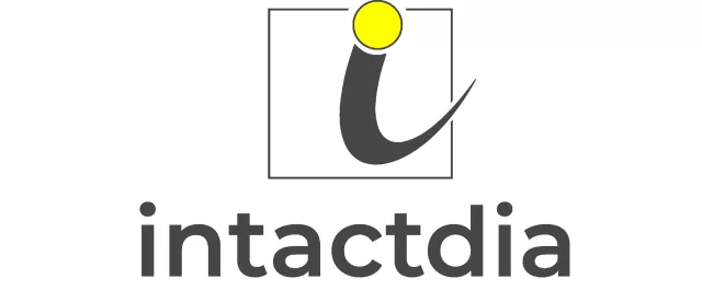 Bild: Intactdia: Ihr strategischer Partner für Webentwicklung & digitales Marketing