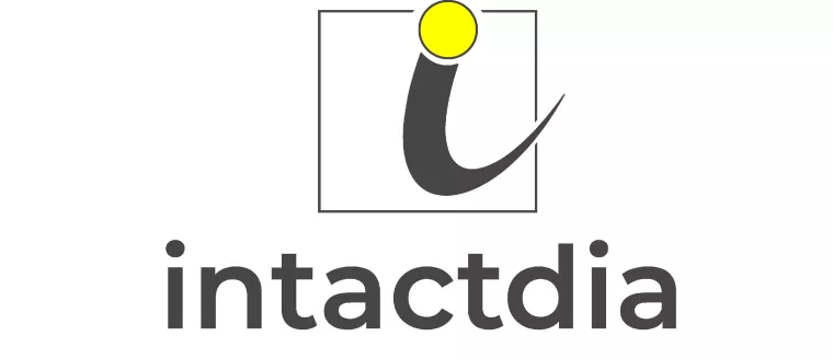 Intactdia: Ihr strategischer Partner für Webentwicklung & digitales Marketing Bild: Intactdia: Ihr strategischer Partner für Webentwicklung & digitales Marketing