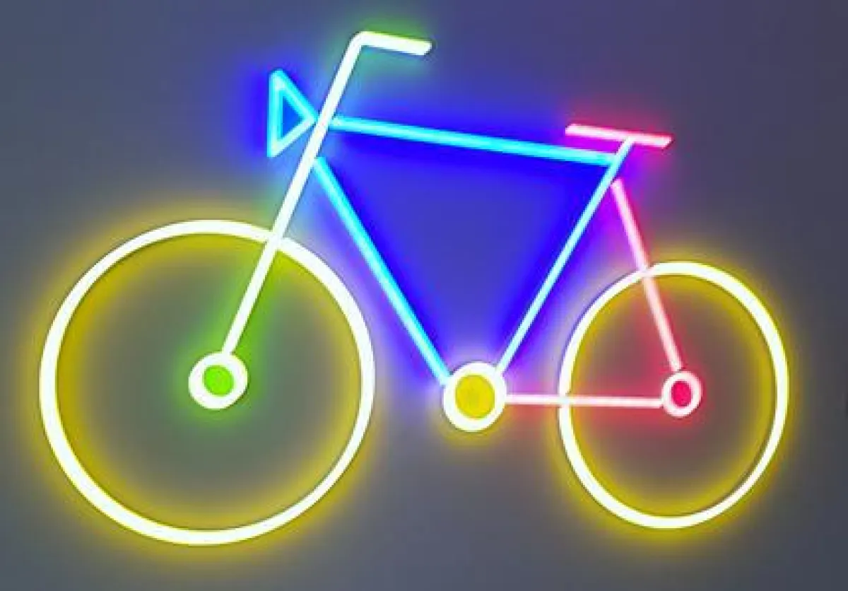 Projekt RadVerS  (© TUD)