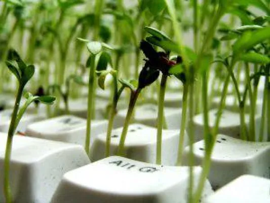 Bild: Praxismarketing für die Tierarztpraxis