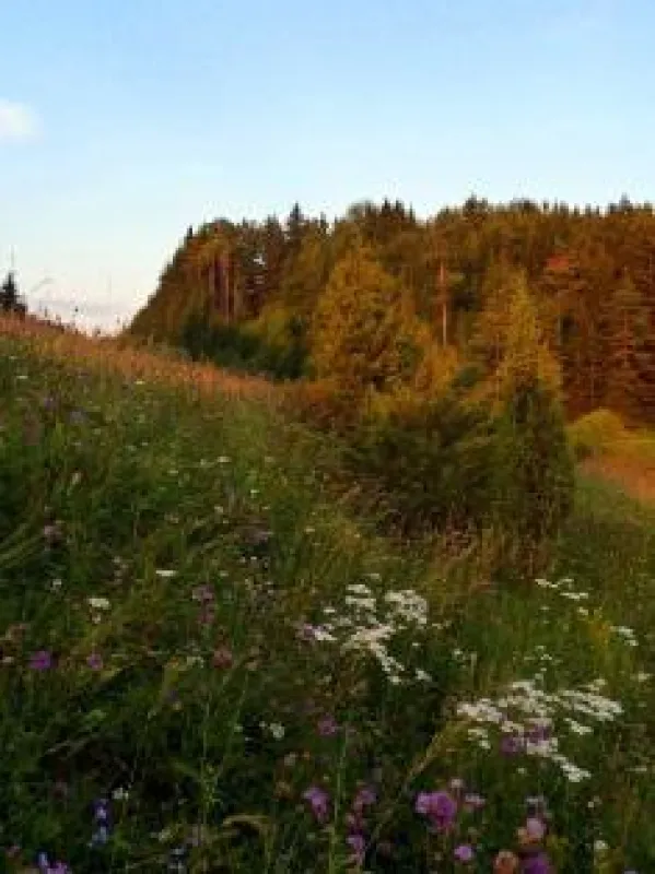 Im Naturpark / Naturpark Hirschwald e.V.
