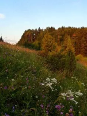 Bild: Erlebnis Naturpark Hirschwald