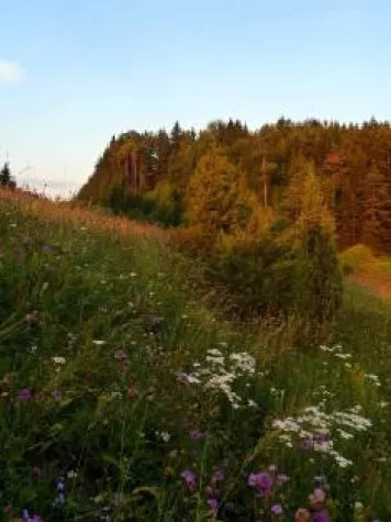 Bild: Erlebnis Naturpark Hirschwald