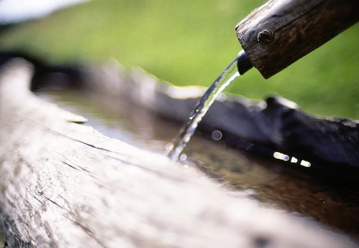 Hotel Feriengut Buasen - Neukirchen am Großvenediger / Pinzgau / Salzburg / Österreich