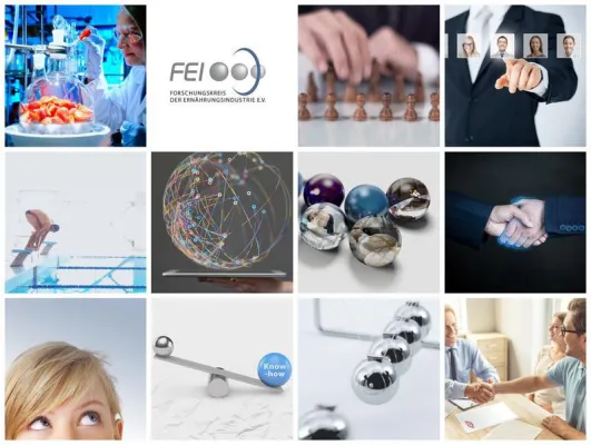 Bild: Darum IGF: FEI veröffentlicht Microsite mit Argumenten für Beteiligung von Unternehmen an der IGF