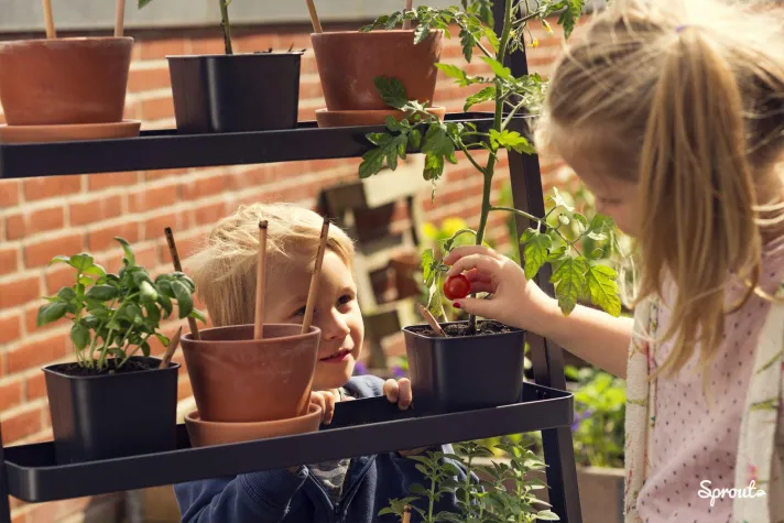 Bild: Plastikfreie Ferien: Sprout-Stifte, die zu einer Pflanze werden