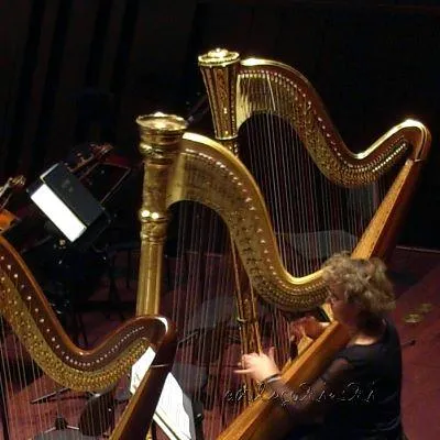 Bild: Die Harfe, fest in weiblicher Hand