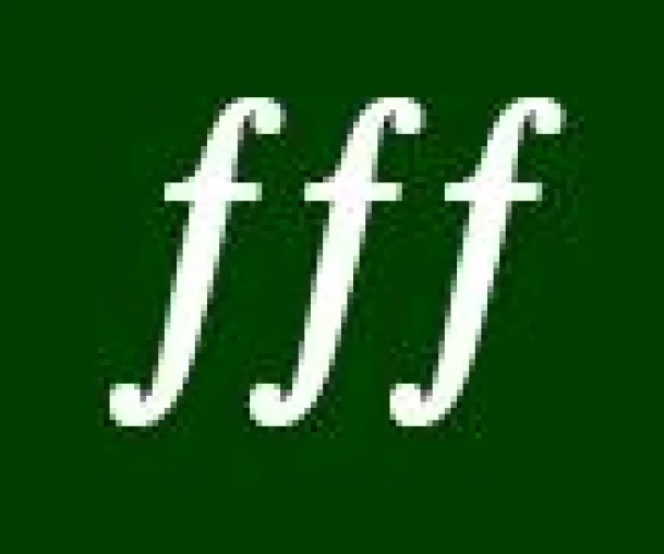 Bild: Benefizkonzert für Haiti mit der „Fiddle Folk Family“