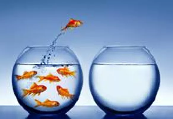 Bild: E-Learning-Weiterbildungen Gesundheitsmanagement und Change Management