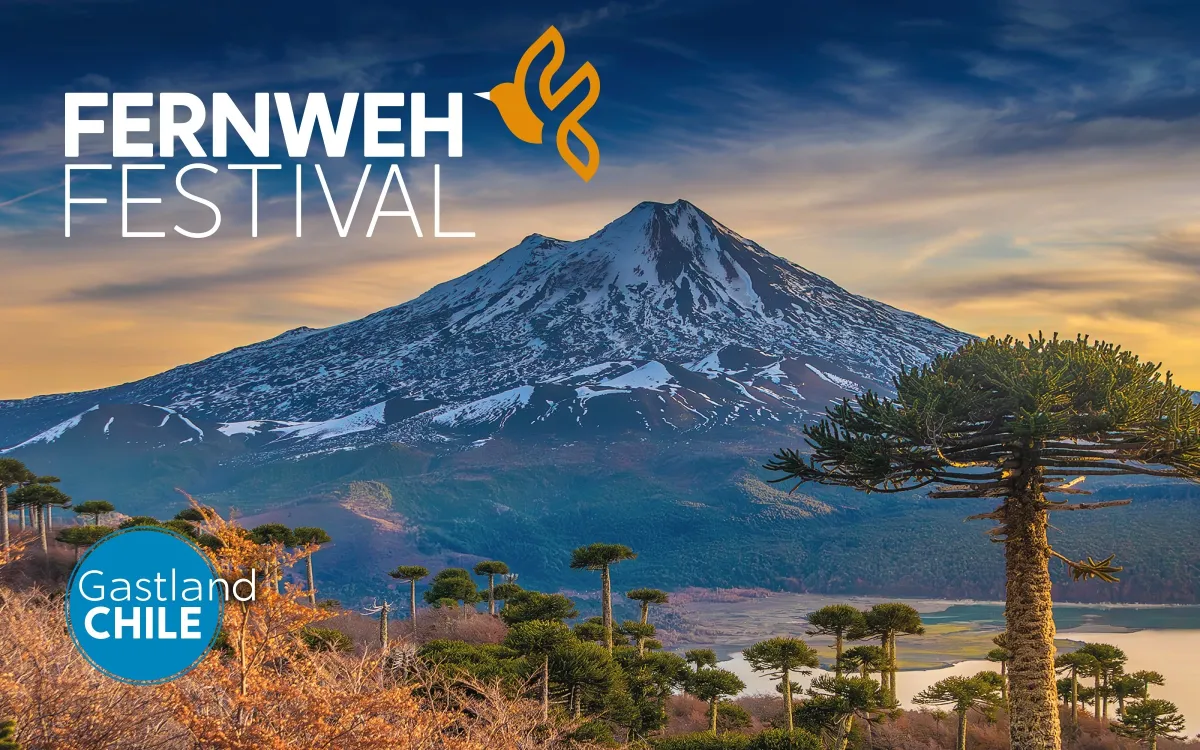 Fernweh Festival 2025 (© Fernweh Festival)