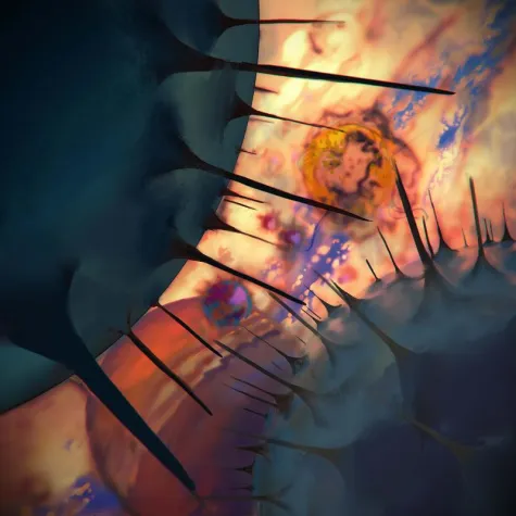 Geschafft! Schleswig-Holsteinischer Entzündungscluster meistert erste Hürde bei der Antragstellung! Bild: Geschafft! Schleswig-Holsteinischer Entzündungscluster meistert erste Hürde bei der Antragstellung!