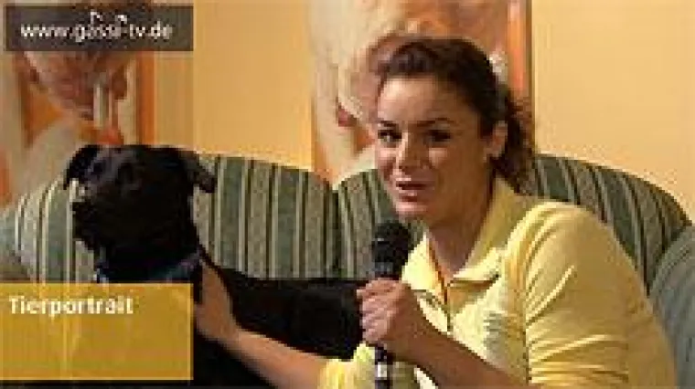 Bild: Tierportrait am Mittwoch