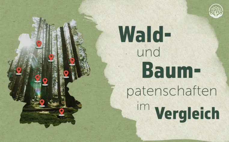 Baumpatron präsentiert Übersicht der deutschen Baumpatenschafts-Projekte Bild: Baumpatron präsentiert Übersicht der deutschen Baumpatenschafts-Projekte