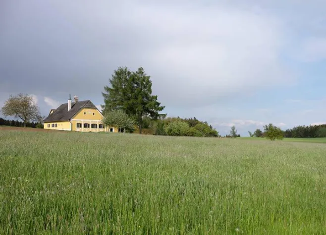 Bild: Viertägiges Spurwechselseminar im Waldviertel / NÖ