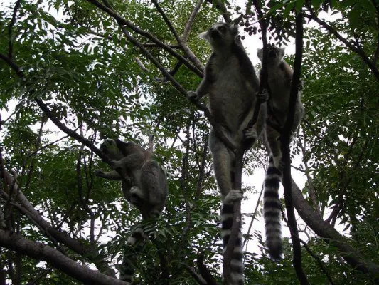 Bild: Anja Park in Madagaskar