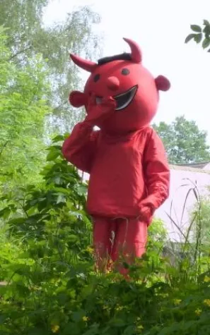 Bild: Kaminfeuer im Wohnmobil