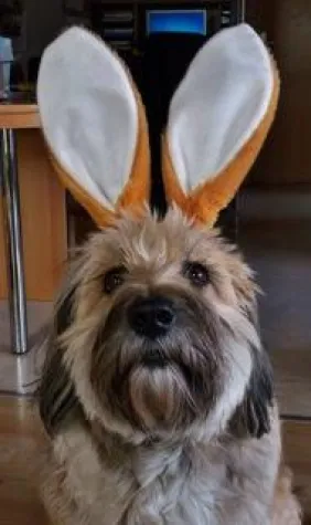 Bild: EIN FILM FÜR DEN OSTERHASEN