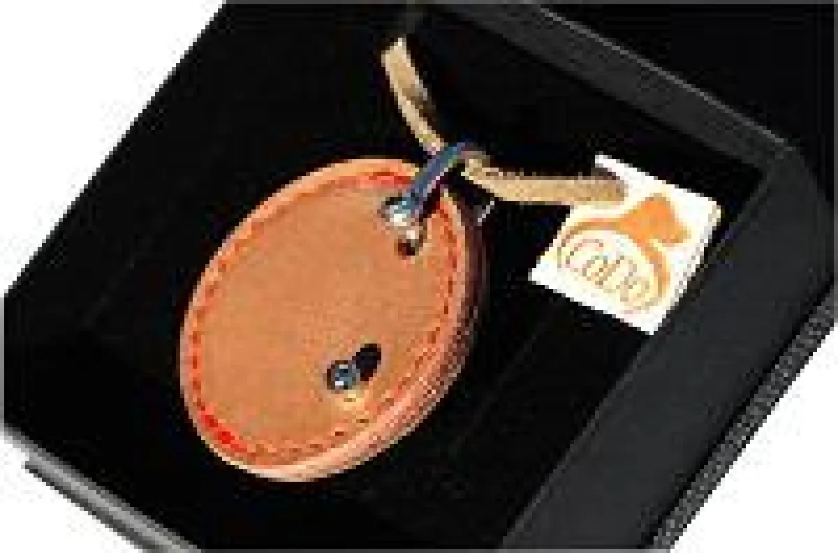 CoDo Hundemarken-Etui Charm Earth and Fire