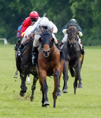 Bild: JAXX: Sponsor des JAXX Pokal am ersten Tag der Derby Woche in Hamburg-Horn