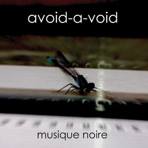 Bild: Avoid-A-Void – Musique Noire