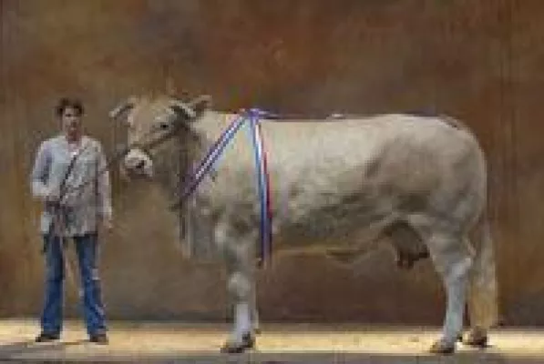 Auch dieses Jahr: Zucht und Wertung in Clermont-Ferrand Bild: Auch dieses Jahr: Zucht und Wertung in Clermont-Ferrand